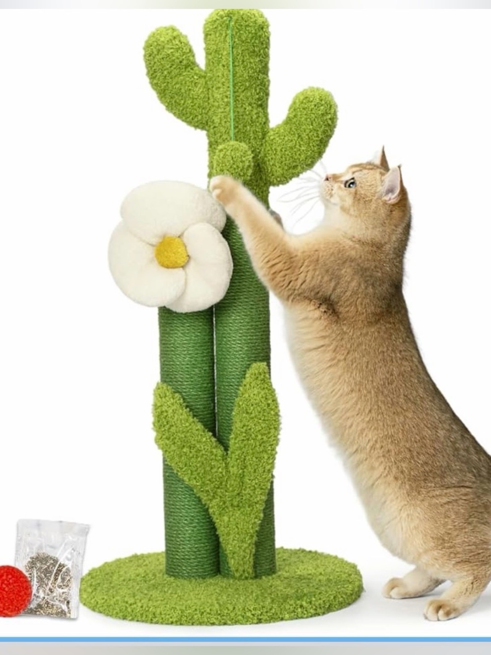 Happy n Pets Green Cactus Cat Scratching Post with Plush Flower